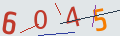 verifycode